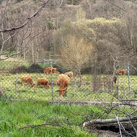 Casa Do Tio Ze Montesinho בית נופש