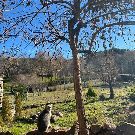 Casa Do Tio Ze Montesinho Casa de Férias Montezinho