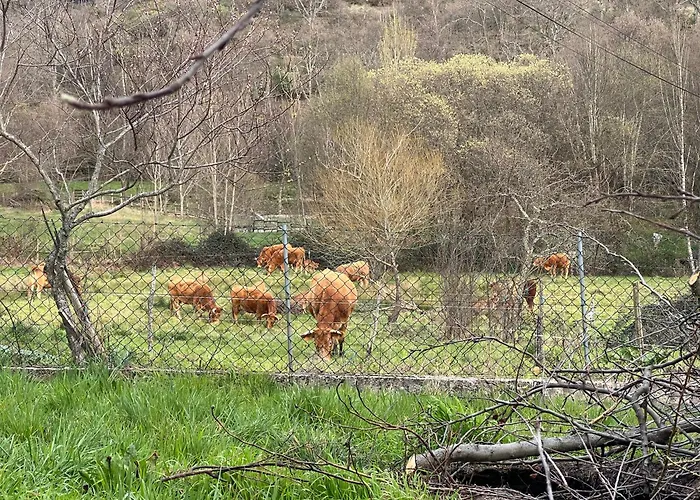Casa Do Tio Ze Montesinho בית נופש