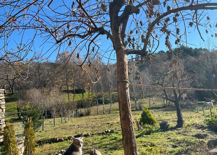 Casa Do Tio Ze Montesinho Σπίτι διακοπών Montezinho